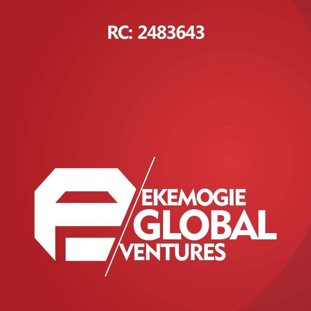Ekemogie Global Ventures provider